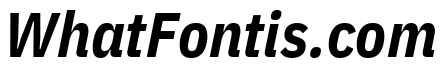 IBM Plex Sans Condensed Bold Italic