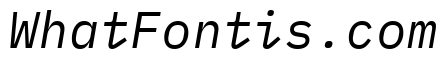 IBM Plex Mono Italic