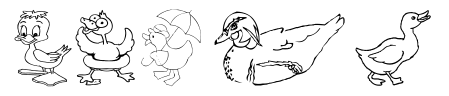AEZ here ducky, ducky