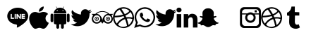 Type Icons