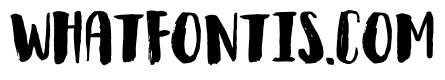 Observant DEMO Regular