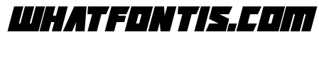 Positrons Italic