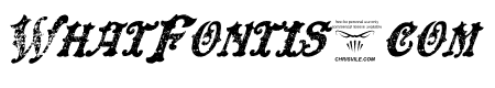 DinglE HuckleberrY Italic
