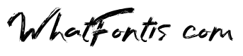Bafora Demo