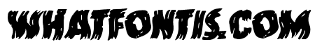 Dokter Monstro Warped Italic