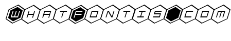 HEX:gon Italic