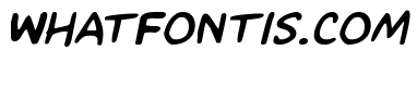Kangaroo Court Italic