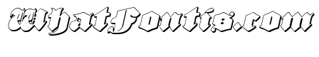 Lux Contra Tenebras 3D Italic