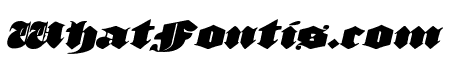 Lux Contra Tenebras Expanded Italic
