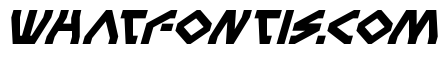 Terra Firma Bold Italic