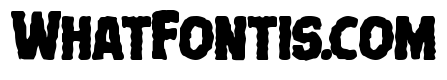 Terror Babble Bold