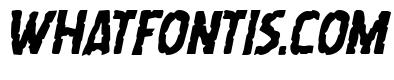 Worm Cuisine Bold Italic