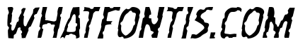 Worm Cuisine Light Italic