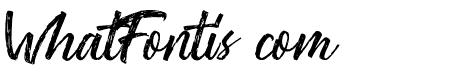 Washington ~ Rough Script DEMO Regular