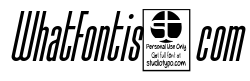 Typo-Longest Demo Italic