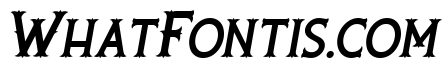 Rooters Italic