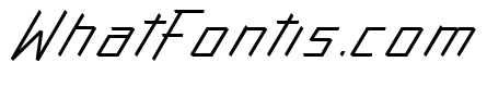 Action Protocol Italic