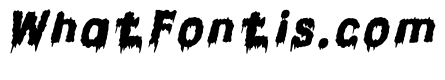 Candle Light Italic