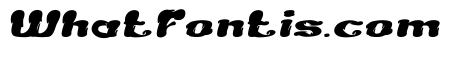 Creamy Butter Italic
