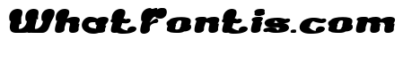 Creamy Butter Bold Italic