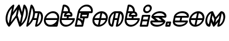 DRAGON FLY Bold Italic