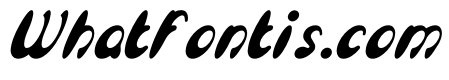 Enjoy The Time Bold Italic