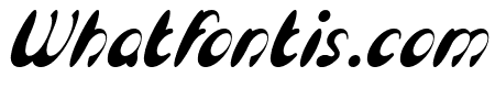 Enjoy The Time Italic