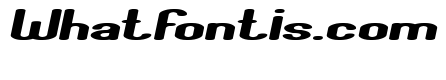 Fun Raiser Italic
