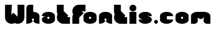FUNNY SPORT Bold