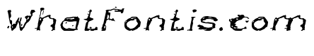 The Lazy Dog Italic