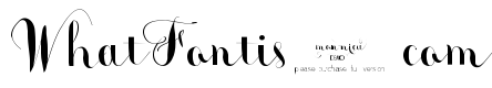 monmica demo