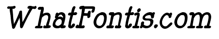 Mitchell Park East Bold Italic