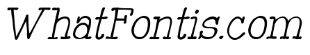 Mitchell Park East Italic
