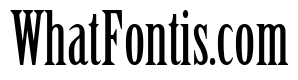 CheGuevara Text Serif