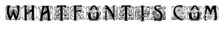 JMHIllusCapsBlack-Regular