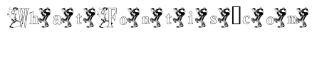 KGDANCE