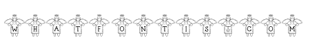 LCR Stitched by an Angel