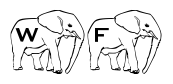 LMS Elephant Tattoo