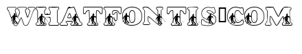 LMS Slalom Script