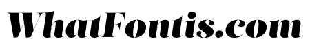 Salome Fine Italic