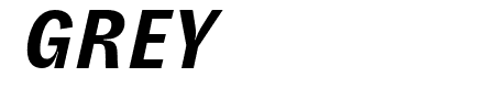 GT Zirkon Bold Italic