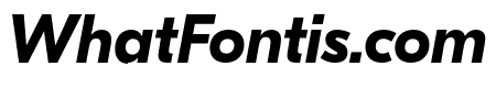 GT Eesti Display Bold Italic