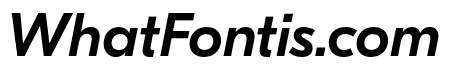 GT Eesti Display Medium Italic