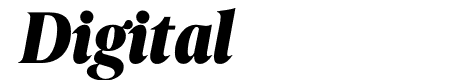 Berlingske Serif Condensed Black Italic