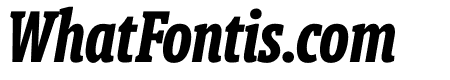 Berlingske Slab Extra condensed Bold Italic