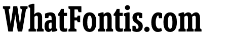 Berlingske Slab Extra condensed Demi Bold
