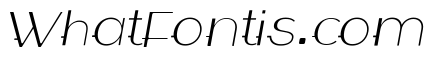 WABECO Thin Italic