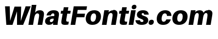 Aileron Black Italic