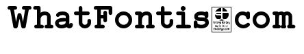 Typo Writer Demo Bold