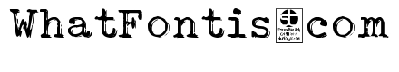 Typo Writer Shaky Demo